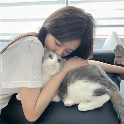 网